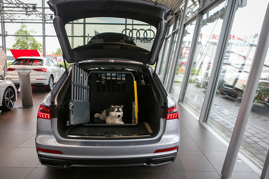 Hundebox für Audi und VW in Krefeld