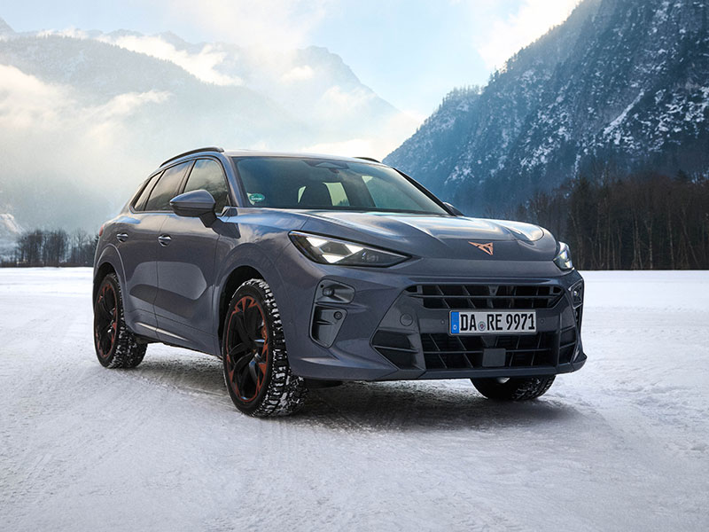 CUPRA Terramar - Vermittlung CUPRA Terramar - Vermittlung